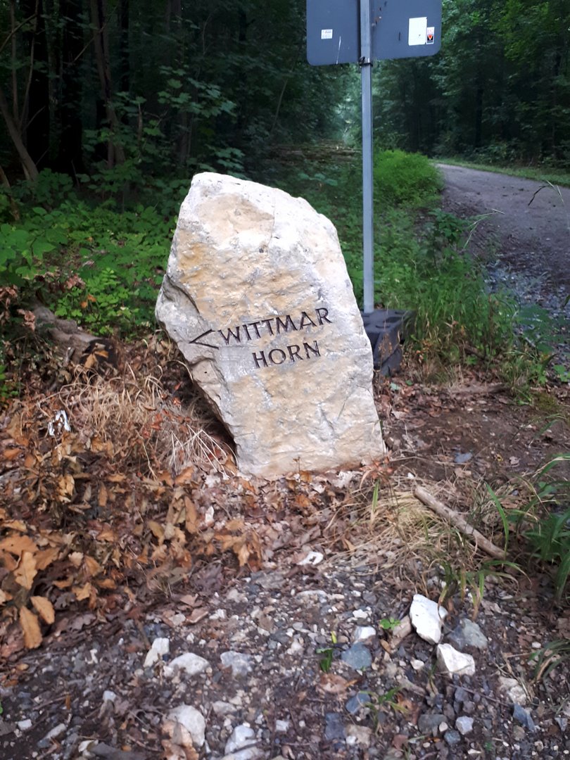 Rund um die Asse 2021